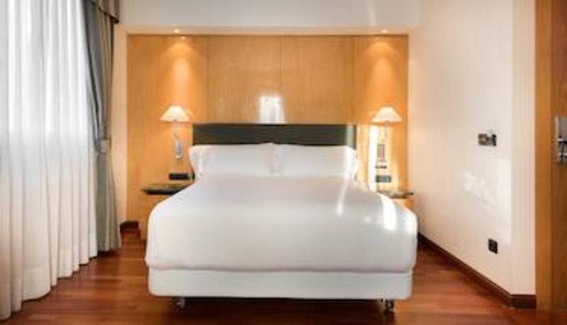 Nh Paseo De La Habana Hotel Madrid Ngoại thất bức ảnh